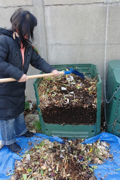 Sensibilisation et formation au compost pour les habitants I ... Image 2